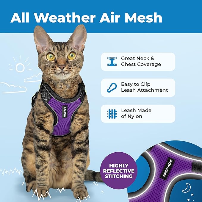 Voyager Escape-Proof Step-in Lock Cat Harness & 5ft Neoprene-Handle Leash Set All-Weather Mesh with Reflective Stitching for Small to Large Cats by Best Pet Supplies, Black Trim-Purple (327), S