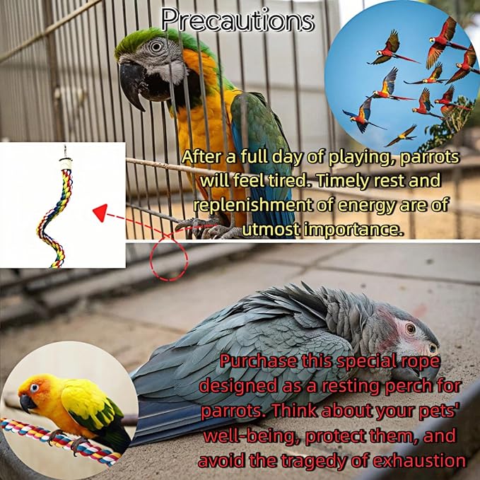 Bird Rope Perches, Parrot Toys, Bungee Rope Perches for Parrots, Cockatiels, Parakeets, Budgie Cages Comfy Birds (Metal Nut) - 36.02 inches