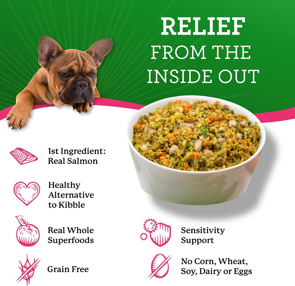 Dr. Harvey's Limited Ingredient Dog Food, Salmon, Trial Size | Grain Free - for Dogs with Food Sensitivities - Trial Size, 5.5 oz