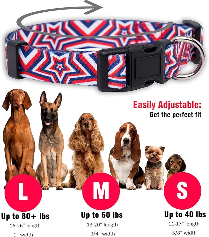 Native Pup American Flag Dog Collar- Red White and Blue- Patriotic Collars for 4th of July, USA- Adjustable Small, Medium, Large Breed Dogs (Large, Big Stars)