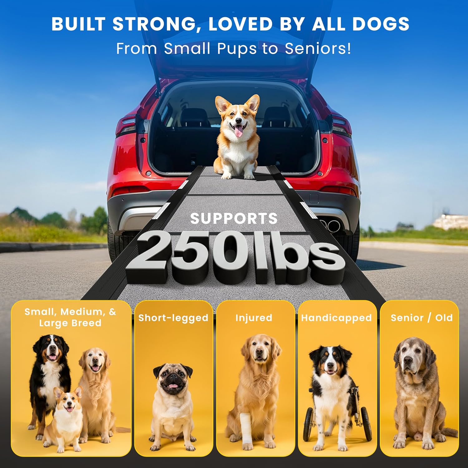 Dog Ramp for Car - 71" L x 17" W Portable Dog Ramp for Car | Foldable, Compact, Cars, Trucks, SUVs, Beds, Sofas, Anti-slip Feet, Traction Carpet, 250 lbs Capacity, for Small to Large