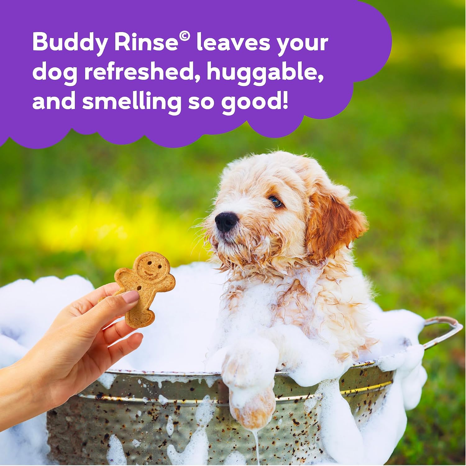 Buddy Rinse Conditioner for Dog Grooming Dog, Lavender & Mint, 16 oz. Bottle