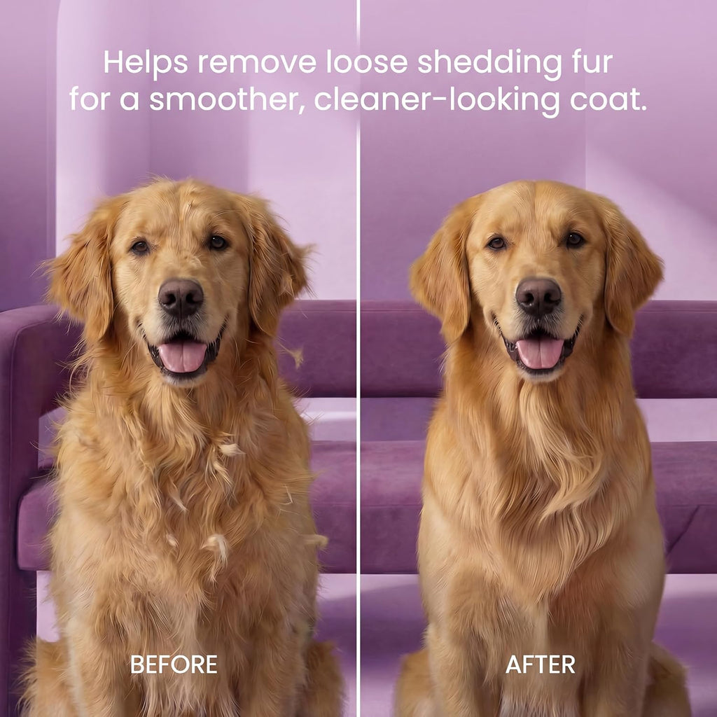 Poodle Pet Dog Grooming Rake| Dematting Tool with Stainless Steel Shedding Comb for Pets | 2 Rows of Pins Gently Remove Loose or Tangled Hair from Undercoat | Purple Handle