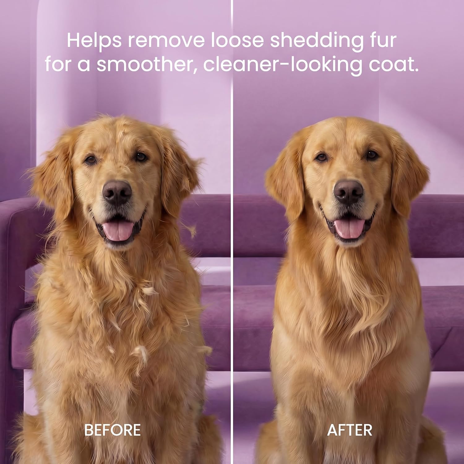 Poodle Pet Dog Grooming Rake| Dematting Tool with Stainless Steel Shedding Comb for Pets | 2 Rows of Pins Gently Remove Loose or Tangled Hair from Undercoat | Purple Handle