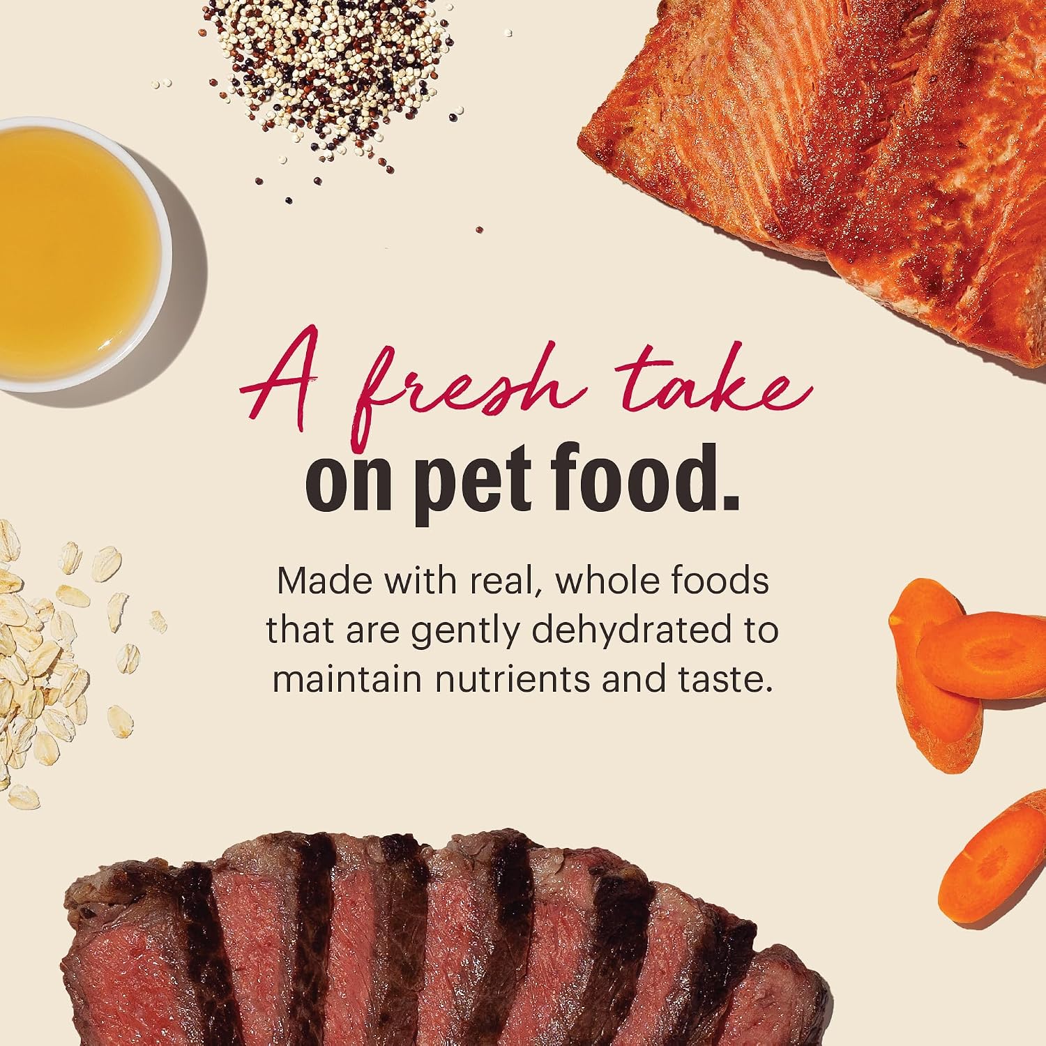 The Honest Kitchen Human Grade Wholemade™ Whole Grain Dehydrated Dog Food - Beef & Salmon, 10 Pound Box