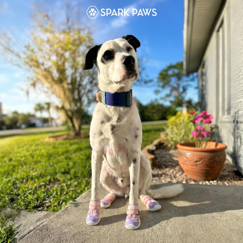 Spark Paws 365 Dog Shoes - All-Season Boots for Winter Snow & Hot Pavement | Water-resistant, anti-slip, stay-on straps - rain, ice & summer booties in one. Reflective; small, medium & large dogs