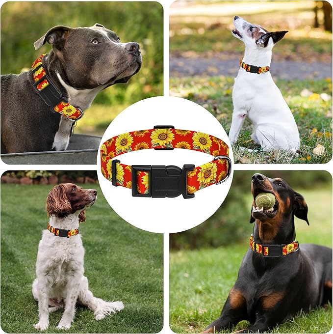 Dog Collar, Floral Boys Girls Puppy Collar for Small Medium Large Dogs, Adjustable Soft Pet Collar with Safety Buckle for Male Females (Red Sunflower, XL)