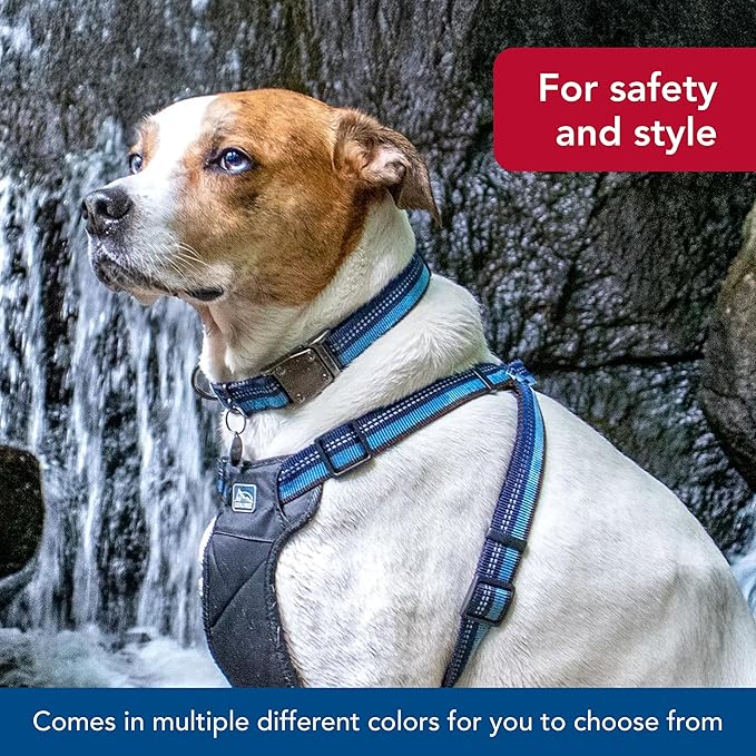 Coastal Pet K9 Explorer Reflective Adjustable Dog Collar - Comfortable Collar for The Outdoors - Durable, Lightweight Accessory with Side-Release Buckle - Fern, 5/8" x 8-12"