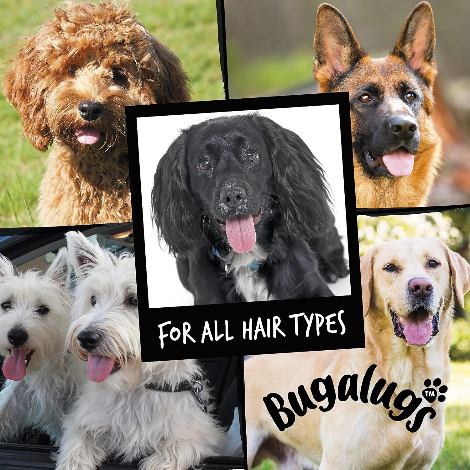 BUGALUGS Dog Conditioner with Baby Fresh Dog Perfume, Best Grooming Conditioner for Dogs, Puppy & Smelly pet That detangles & moisturises use with Dog Shampoo