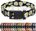 Dog Collar, Daisy Boys Girls Puppy Collar for Small Medium Large Dogs, Adjustable Soft Floral Pet Collar with Safety Buckle for Male Females(Black Daisy,XS)
