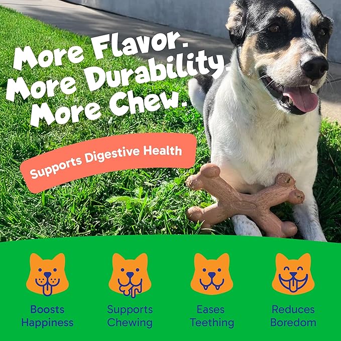 Chew’EMS X Bone Dog Chew Toy for Aggressive Chewers – Long-Lasting Beef Flavor Nylon Bone – Durable, Rawhide-Free Dental Toy - Small Size – Made in USA
