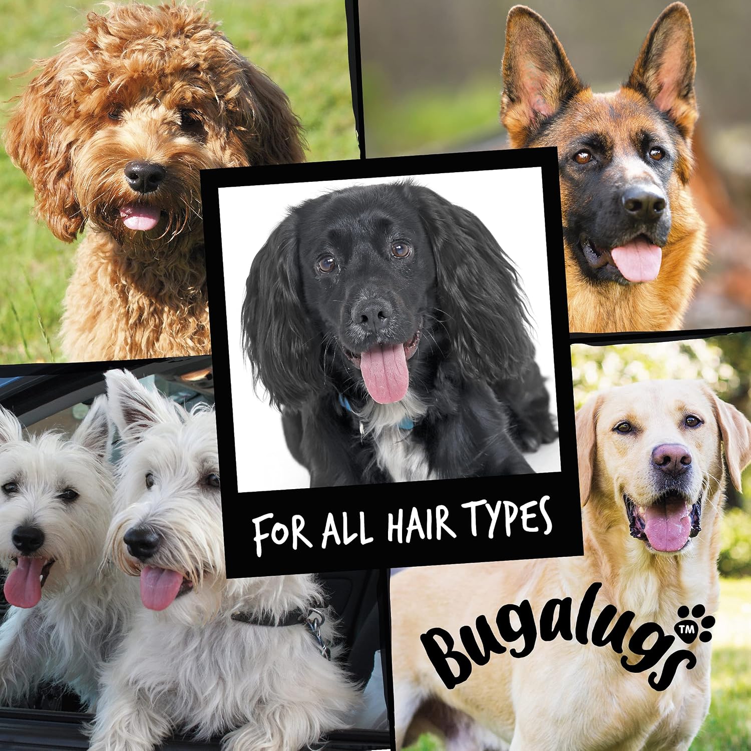 BUGALUGS Dog Shampoo with a Distinctive One in a Million Fragrance - Natural Dog Grooming Shampoo Products for Smelly Dogs with Fragrance, Puppy Professional Groom Shampoo & Conditioner (33.8 FL Oz)