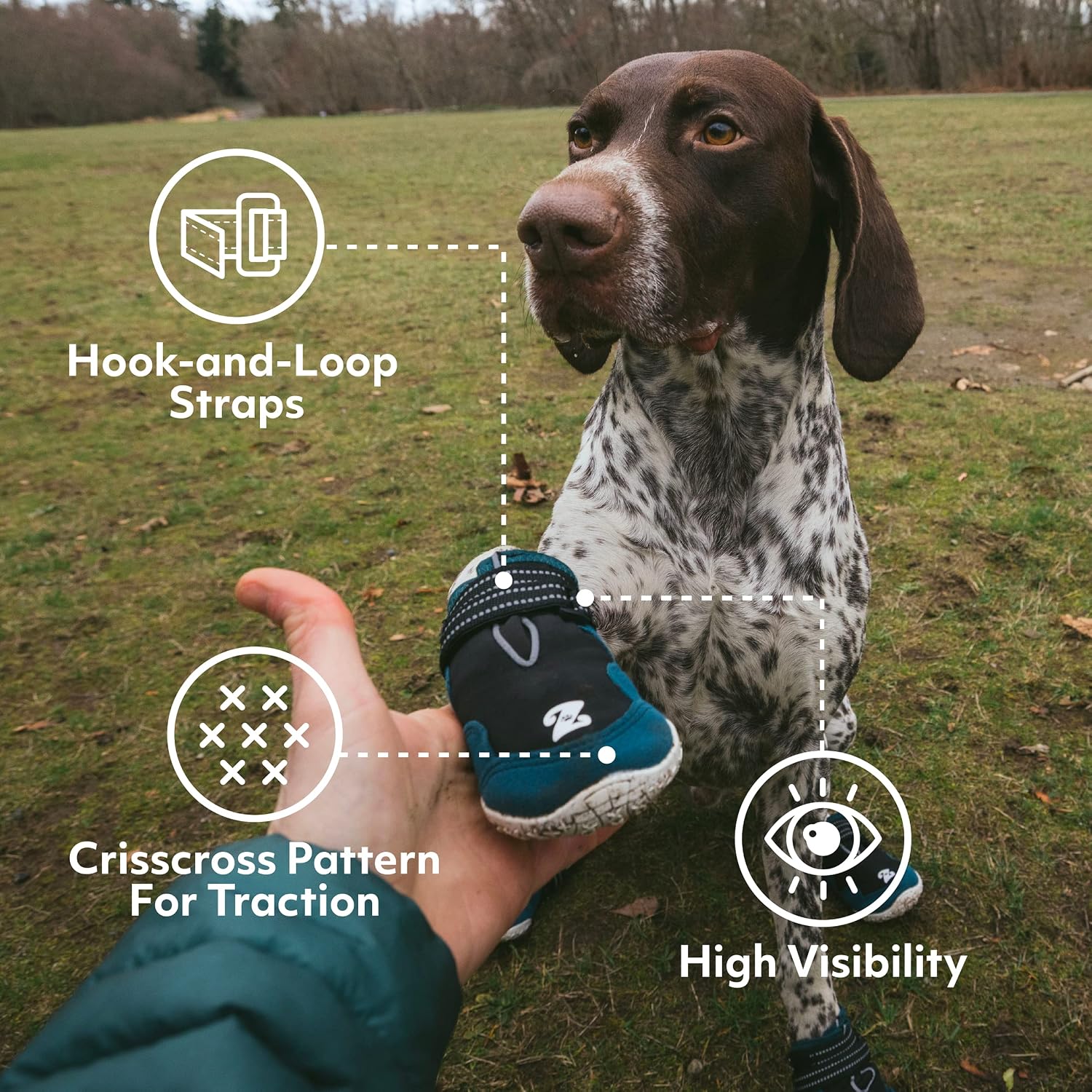 ZippyPaws Adventure Boots - Dog Shoes for Paw Protection from Hot and Cold, Dog Booties for Winter & Summer, Dog Shoes for Large & Small Dogs - Teal, S - Size 4