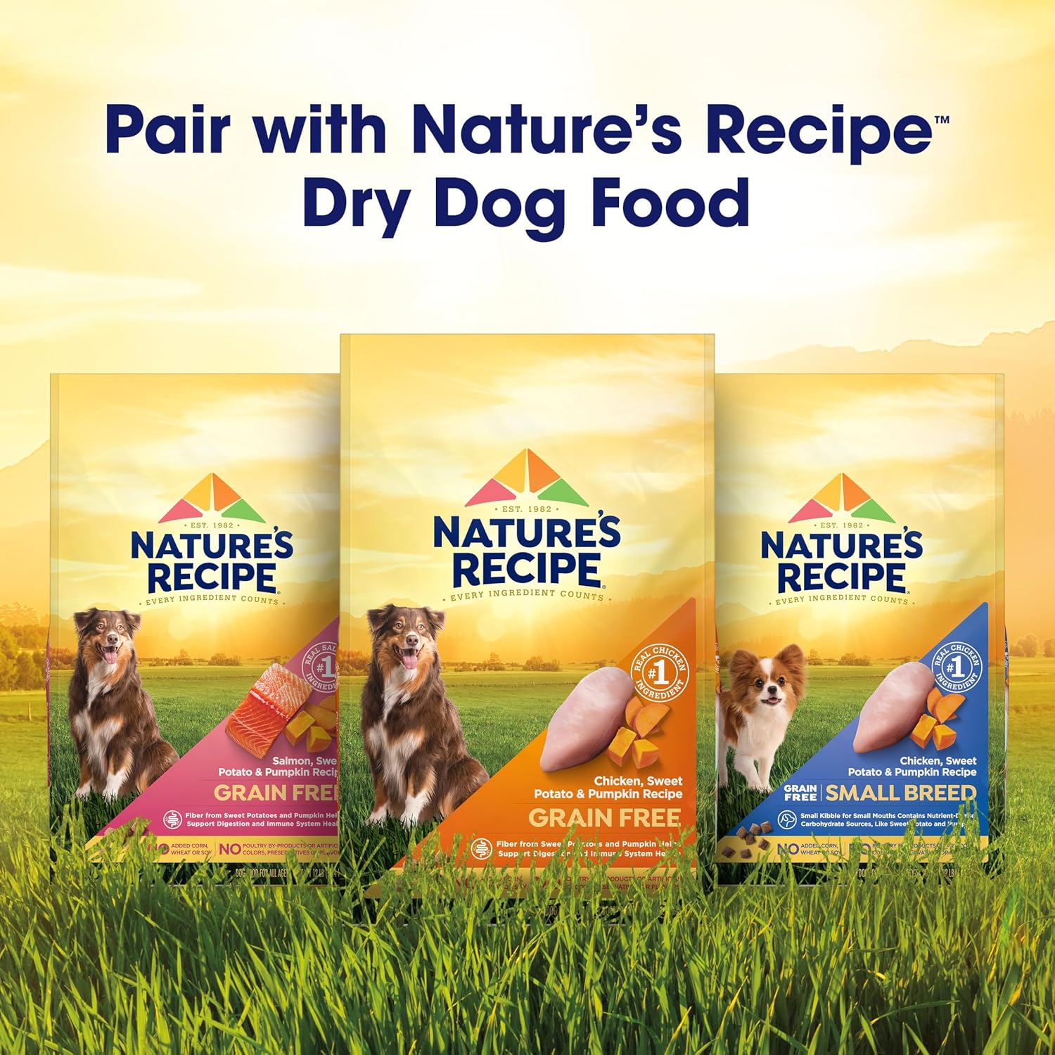 Nature's Recipe Wet Dog Food Variety Pack, 2.75 oz Cup, 12 Count (2 Pack)