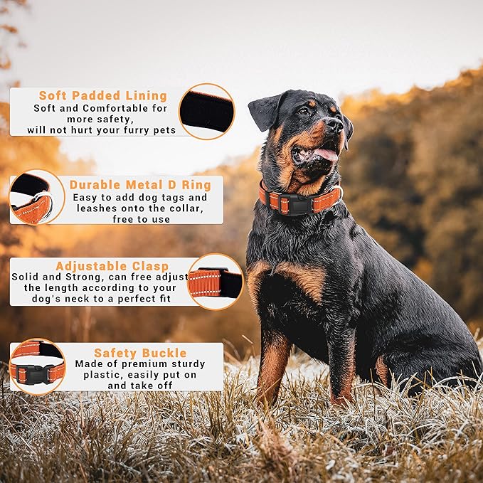 2 Pack Reflective Dog Collar with Safety Locking Buckle, Adjustable Soft Breathable Comfortable Nylon Pet Collar for Small, Medium and Large Dogs, Orange, S