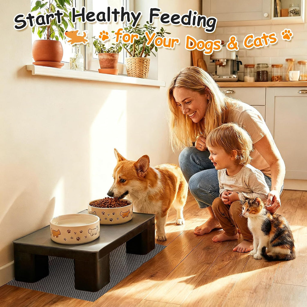 Elevated Dog Bowl Stand with Waterproof Dog Food Mat, Non-Slip, 1 Pc, Black | Reduce Neck & Joint Strain, Easy to Clean Silicone Pet Feeding Mat, Sturdy Legs, Ideal for Small & Medium Dogs and Cats