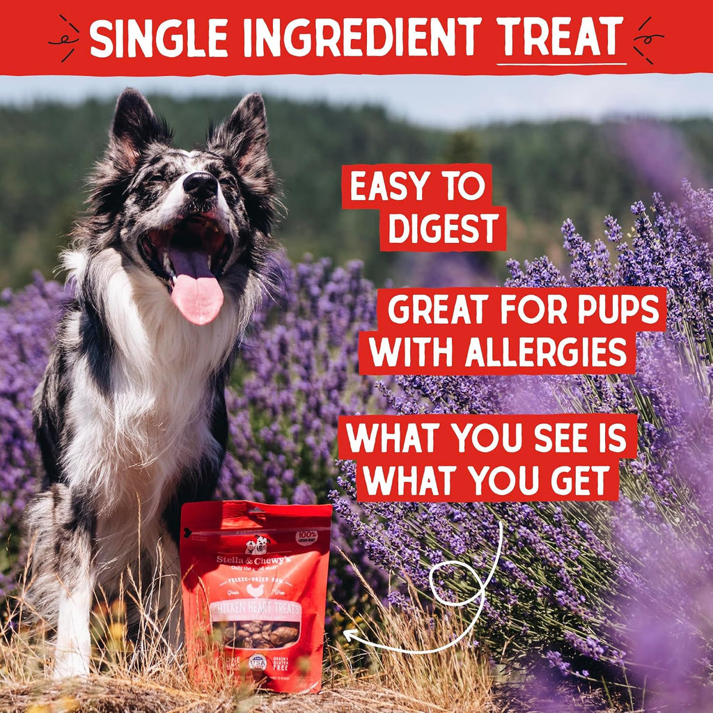 Stella & Chewy's Freeze-Dried Raw Chicken Heart Dog Treats - Single Ingredient, No Additives - Premium Training Treats - Perfect for Picky Eaters - 11oz Bag
