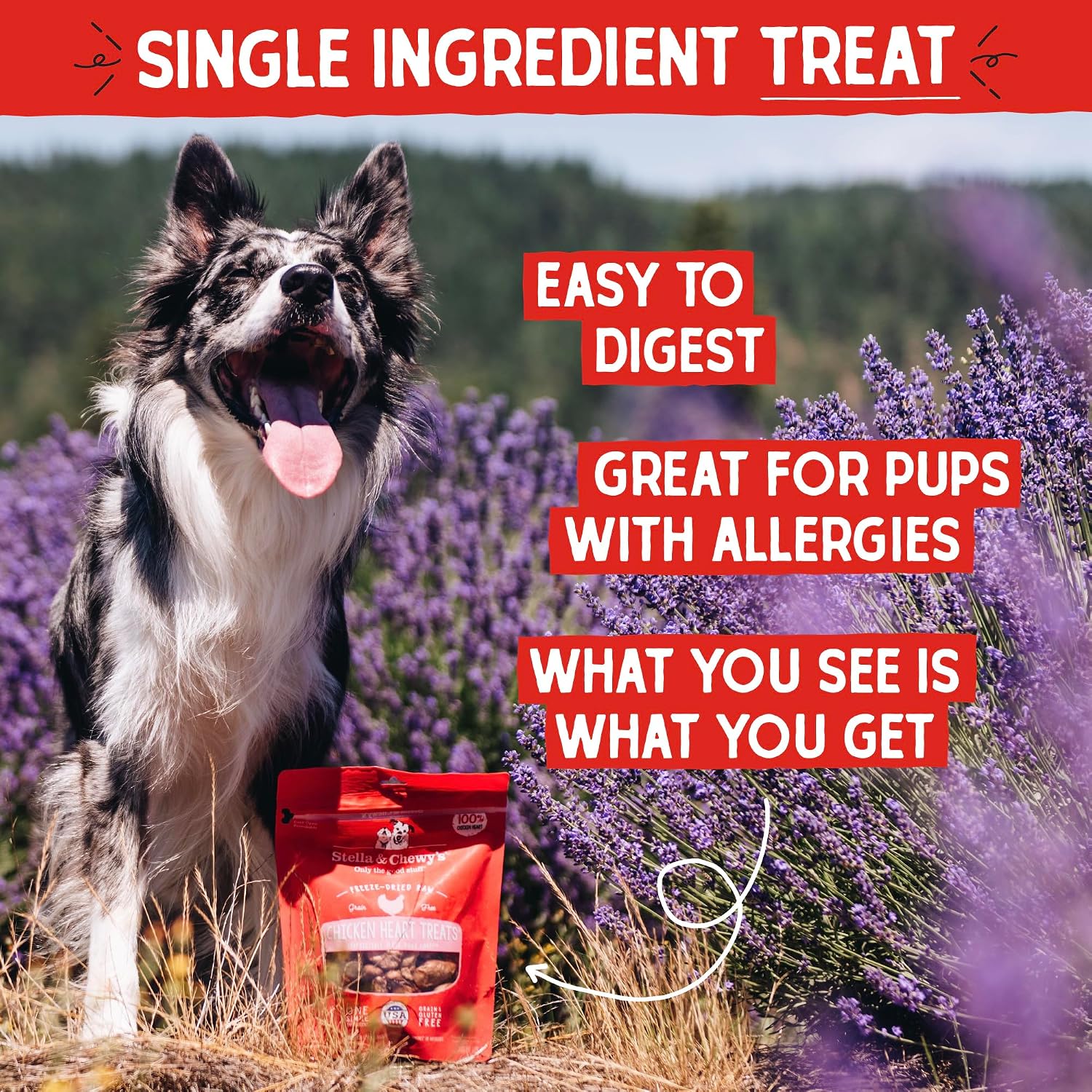 Stella & Chewy's Freeze-Dried Raw Chicken Heart Dog Treats - Single Ingredient, No Additives - Premium Training Treats - Perfect for Picky Eaters - 11oz Bag