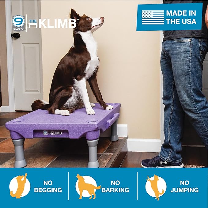 Blue-9 Pet Products KLIMB Dog Training Platform and Agility System, Durable and Portable for Indoor or Outdoor Use, Made in The USA, Blue