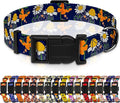 Dog Collar with Butterflies Print, Daisy Boys Girls Puppy Collar for Small Medium Large Dogs, Adjustable Soft Floral Pet Collar with Safety Buckle for Male Females(Blue Butterfly,M)