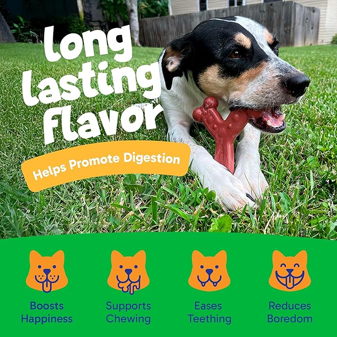Chew'ems Durable Chew Toys for Small Dogs | Long-Lasting & Flavorful Chew Dog Toys, Small Dog Breeds | Chicken-Flavored