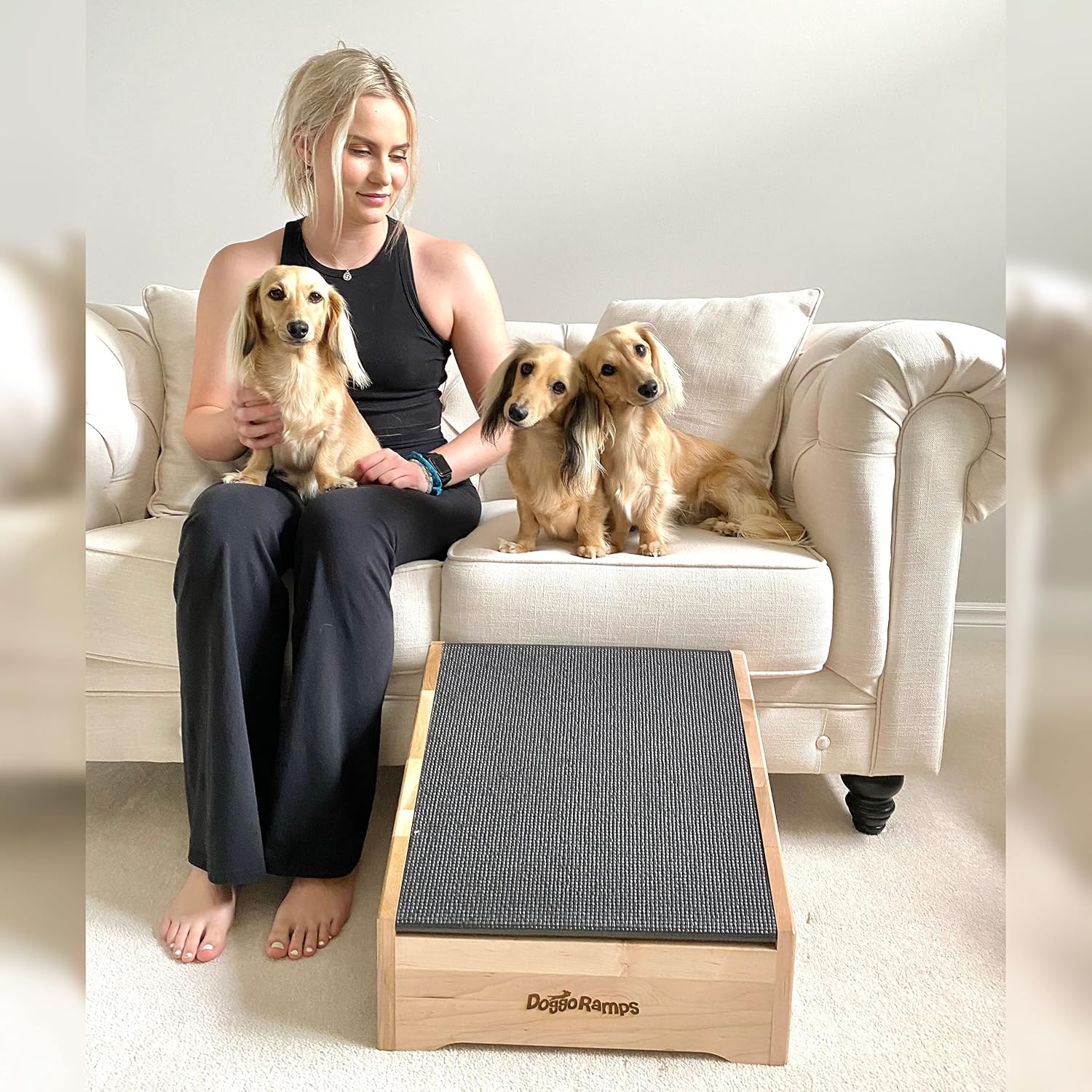 Step-Ramp for Dogs - Solid Hardwood with 3 Finish Options - Dog Ramp & Step Combination with Storage Cubby to Save Space, For Dogs Who Could Use a Helping Step Up - Made in North America