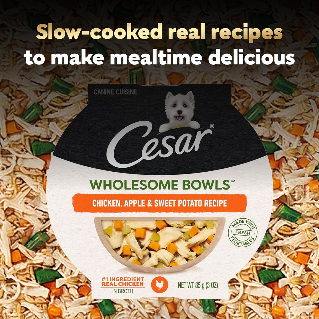 Cesar Wholesome Bowls Wet Dog Food, Chicken & Apple, 3 oz, 10 Count | Real chicken #1 ingredient, slow-cooked, 9 key ingredients, no by-products or artificial flavors, easy to digest