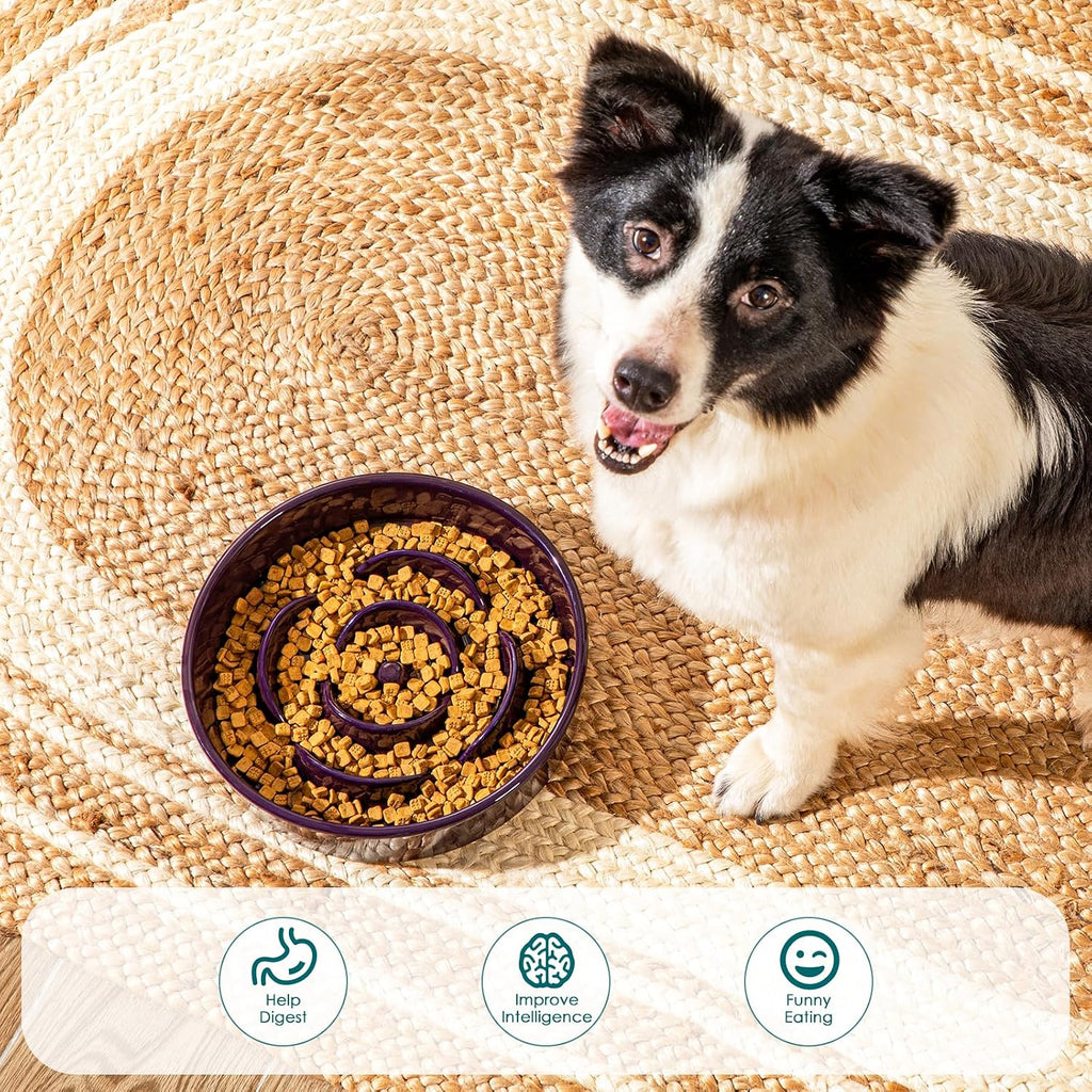 vancasso Slow Feeder Dog Bowl, 3 Cups Ceramic Large Puzzle Dog Food Dish | Maze Dog Food Bowl for Fast Eaters, Slow Feeding Design for Large Dogs, Promotes Healthy Eating Habits, Dark Purple