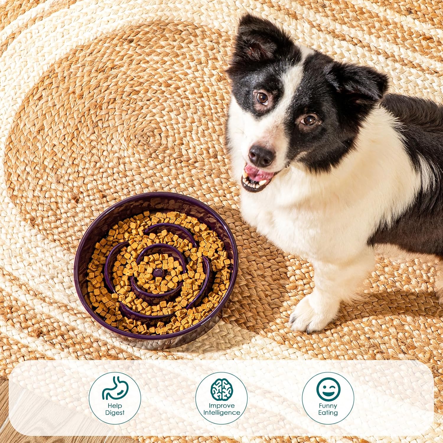 vancasso Slow Feeder Dog Bowl, 3 Cups Ceramic Large Puzzle Dog Food Dish | Maze Dog Food Bowl for Fast Eaters, Slow Feeding Design for Large Dogs, Promotes Healthy Eating Habits, Dark Purple