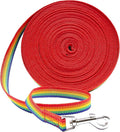 Downtown Pet Supply - Long Rainbow Dog Leash - 20 ft Nylon Training Leash for Recall & Obedience