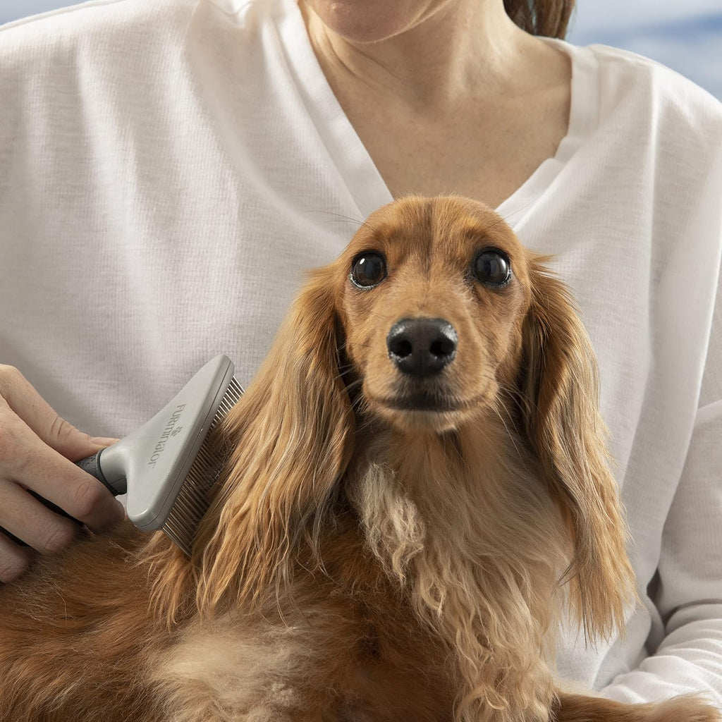 FURminator Grooming Rake for Cats and Dogs | Premium food rich in algae | Suitable for herbivorous fish | Promotes digestion and vitality