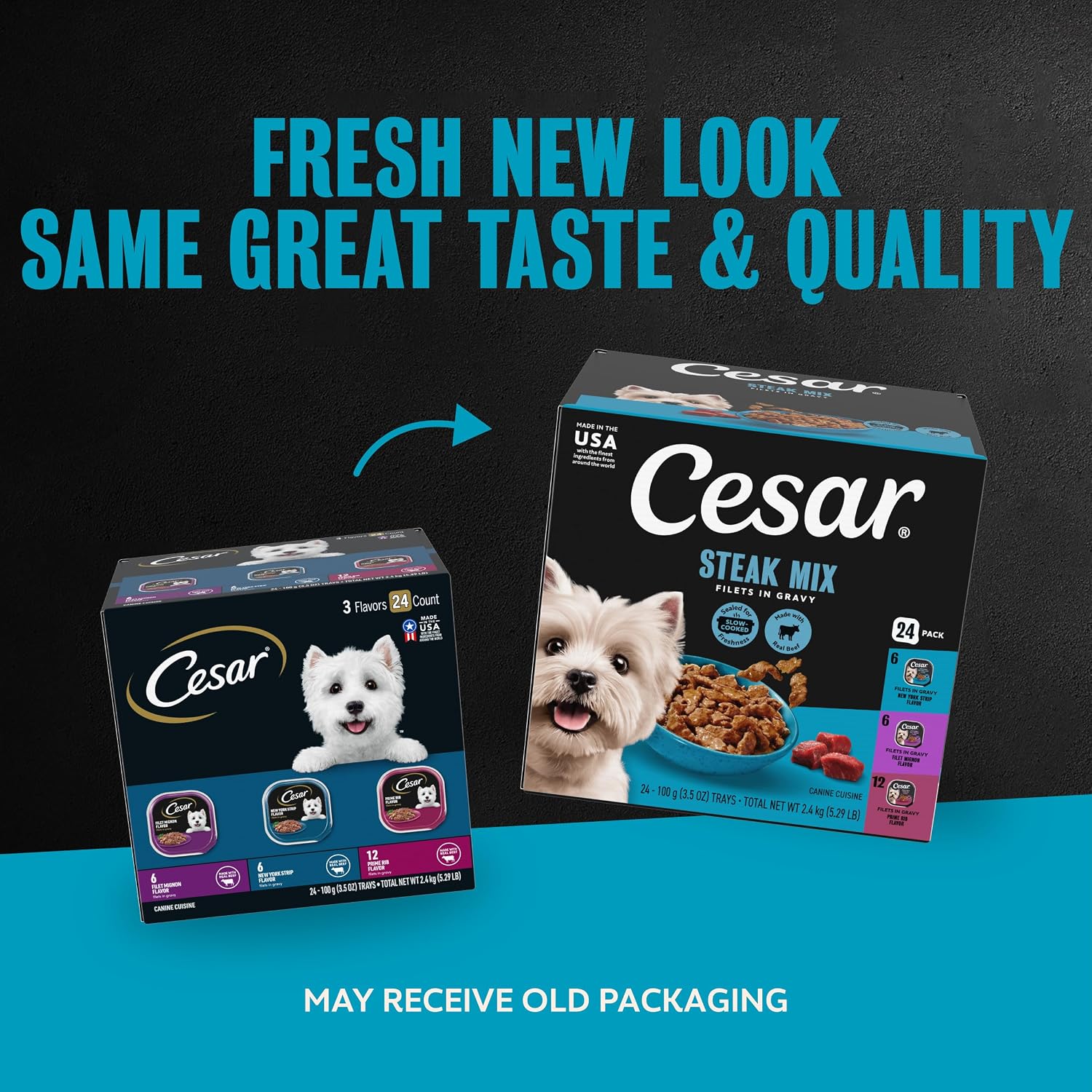 Cesar Filets in Gravy Wet Dog Food, Steak Mix Variety, 3.5 oz, 24 Count | Filet Mignon, New York Strip & Prime Rib, real meat, slow-cooked, no fillers/added sugar/artificial flavors, easy peel trays