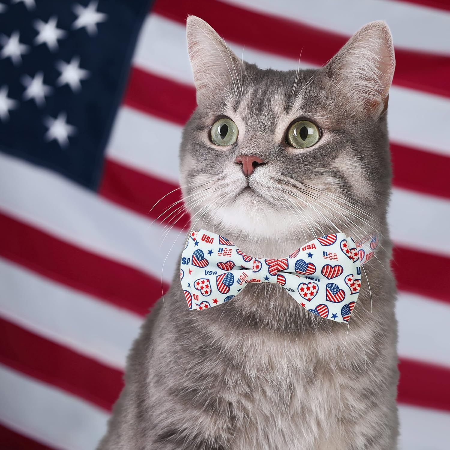 4th of July Cat Collar with Bow Tie, Indepedence Holiday USA Heart Collar for Boys and Girls Kitties and Kittens