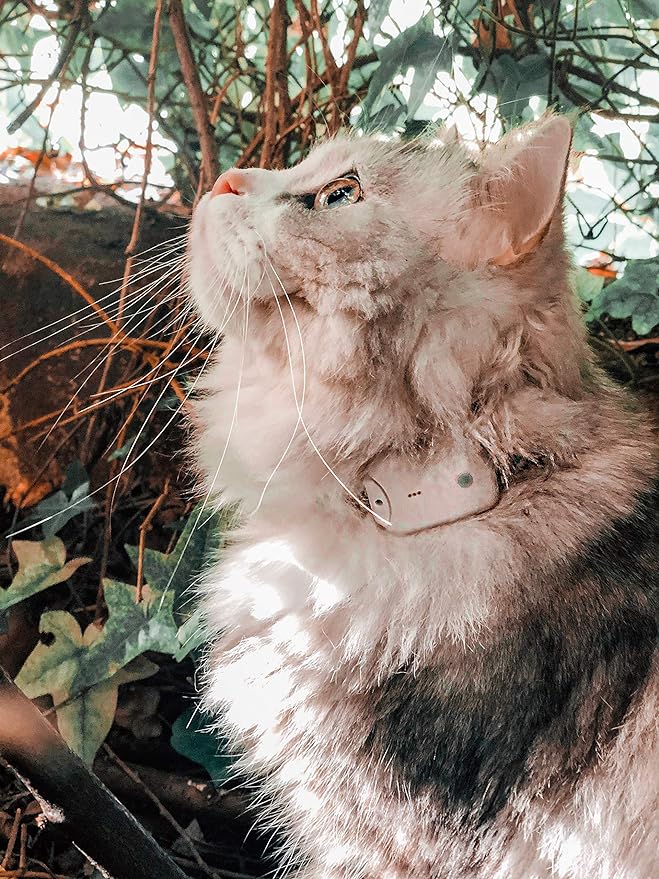 Pro-Track-tor - Ultra-Lightweight Cat Finder (ONLY 0.28oz) - No Monthly Fees - 1600ft Range RF Tracker - Works Where GPS Fails - Find Hidden Cats Anywhere