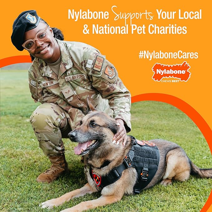 Nylabone New Puppy Starter Kit, 5 Chew Toys and 1 Natural Treat for Puppies, Multi Color, Bacon & Chicken Flavor, Small Dogs - Up to 25 lbs., 6 Pack