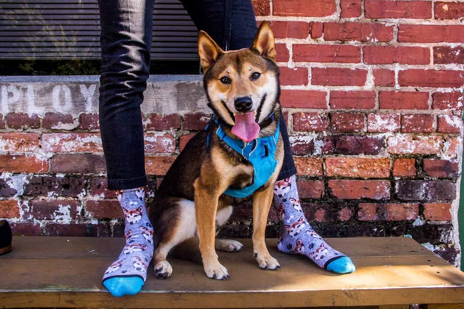 DivvyUp Socks - Custom Dog Socks - Put Your Dog on Socks! (Small, Purple)
