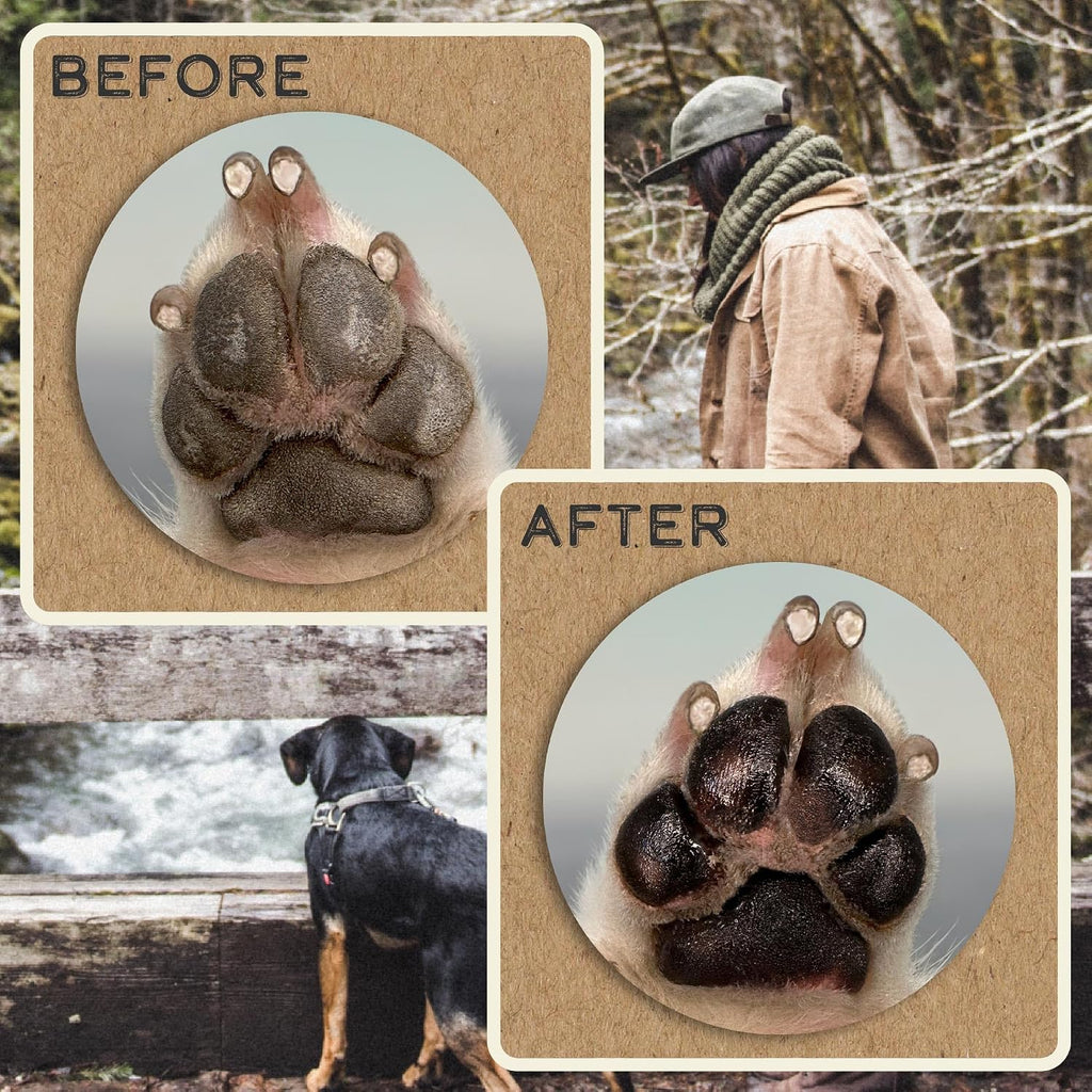 Paw Protector | All-Natural Rosemary & Argan Oil Soothing Moisture Balm for Healing Pads & Noses