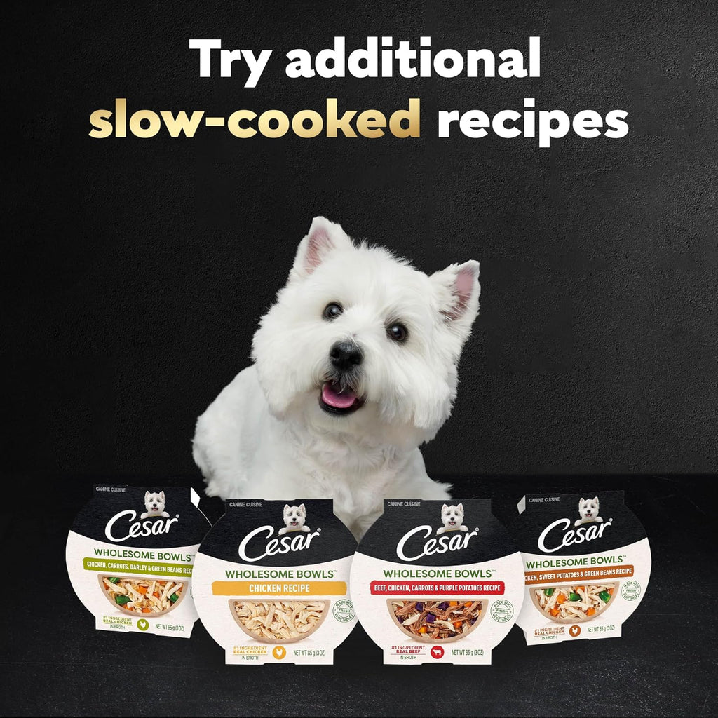 Cesar Wholesome Bowls Wet Dog Food, Chicken & Apple, 3 oz, 10 Count | Real chicken #1 ingredient, slow-cooked, 9 key ingredients, no by-products or artificial flavors, easy to digest