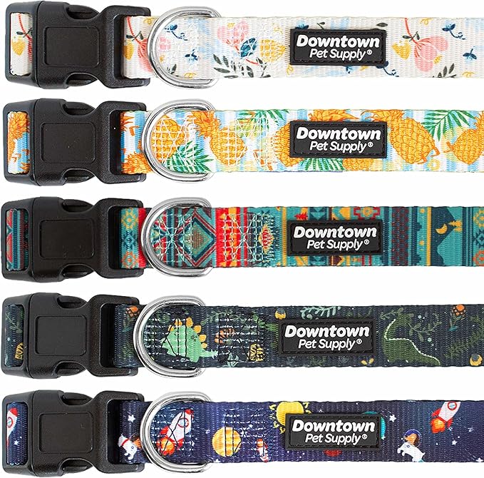 Downtown Pet Supply - Best & Fancy Dog Collar - Lightweight Adjustable with Quick Buckle & D-Ring - Hand Wash Safe - Pineapple - M - Medium