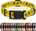 Dog Collar, Floral Puppy Collar for Small Medium Large Dogs, Adjustable Soft Pet Collar with Safety Buckle for Male Females(Yellow Sunflower,XL)