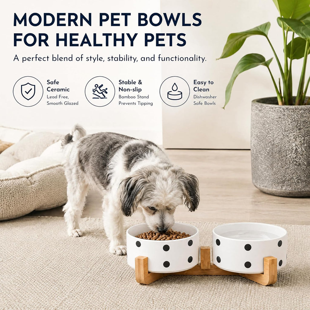 Petygooing Ceramic Dog Bowl Set with Stand,Cat Pet Food and Water Dishes,Small Dog Bowls Anti -Slip Set of 2 Cat Bowls Pet Food Dish Small Size Pet (13.5OZ/5.1 in) Black Dot