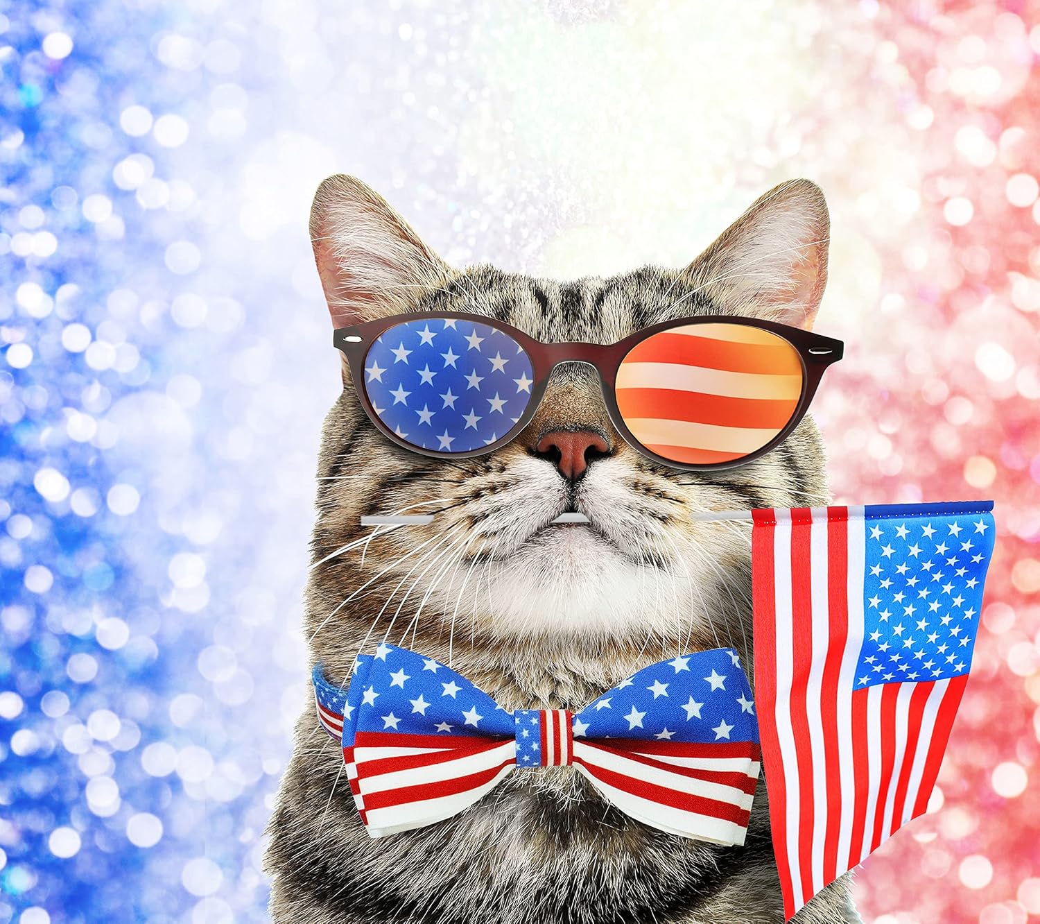 4th of July Cat Collar with Bow Tie, Indepedence Holiday USA Heart Collar for Boys and Girls Kitties and Kittens