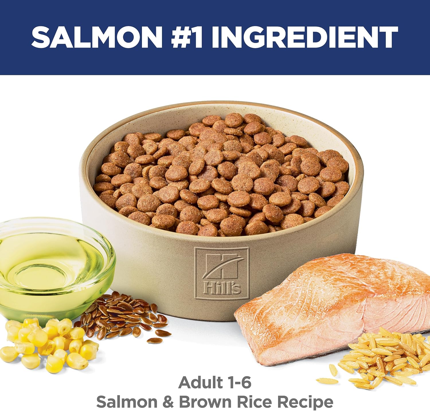 Hill's Science Diet Adult 1-6 Dry Dog Food | #1 Veterinarian Recommended, Salmon & Brown Rice, 4.5 lb. Bag