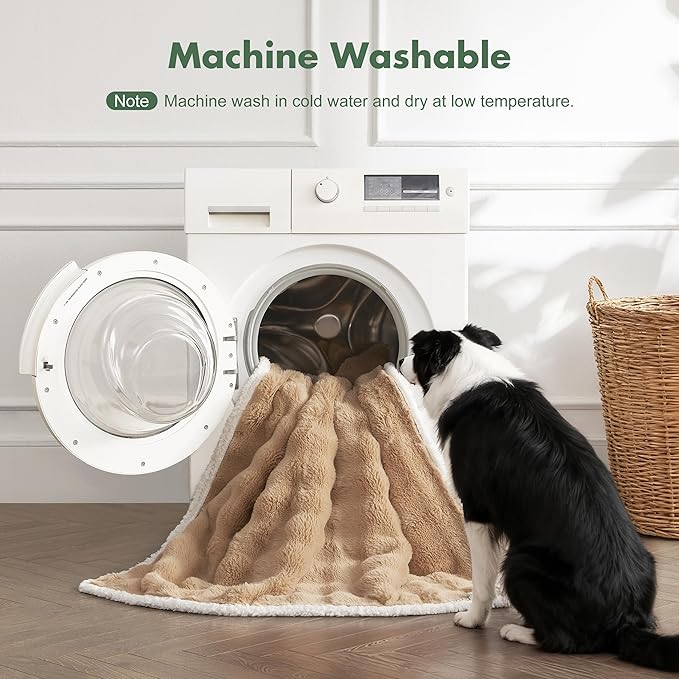 Soft Cozy Waterproof Dog Blanket for Couch - Room Decor Medium Pet Blanket for Furniture Protector, Washable Calming Dog Crate Blankets for Indoors & Outdoors, Khaki, 40"x50"