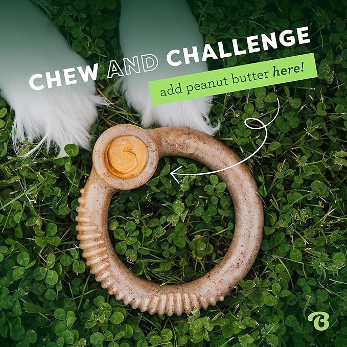 Benebone Ring Durable Dog Chew Toy for Aggressive Chewers, Real Bacon, Made in USA, Small