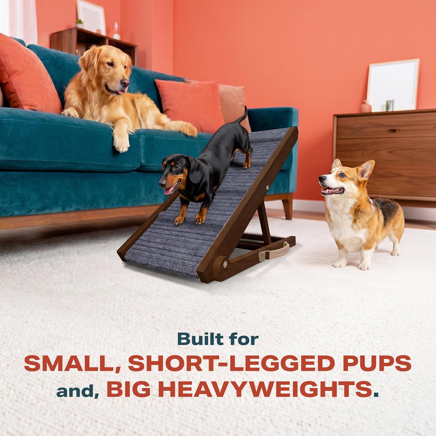 Dog Ramp - Folding Dog Ramp for Bed & Couch - Dog Stairs | 34" Long, 12.6 Wide, Portable, Solid Walnut Wood, 250 lbs Weight Capacity, Corgi, Dachshund, Beagle