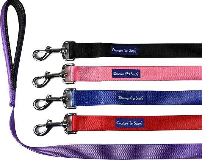 Downtown Pet Supply 6ft Dog Leash - Heavy-Duty Dog Leash with Padded Comfort Handle and Stainless Steel Fastener - Durable Dog Training Leash - 0.75 in Wide - Purple Dog Leash