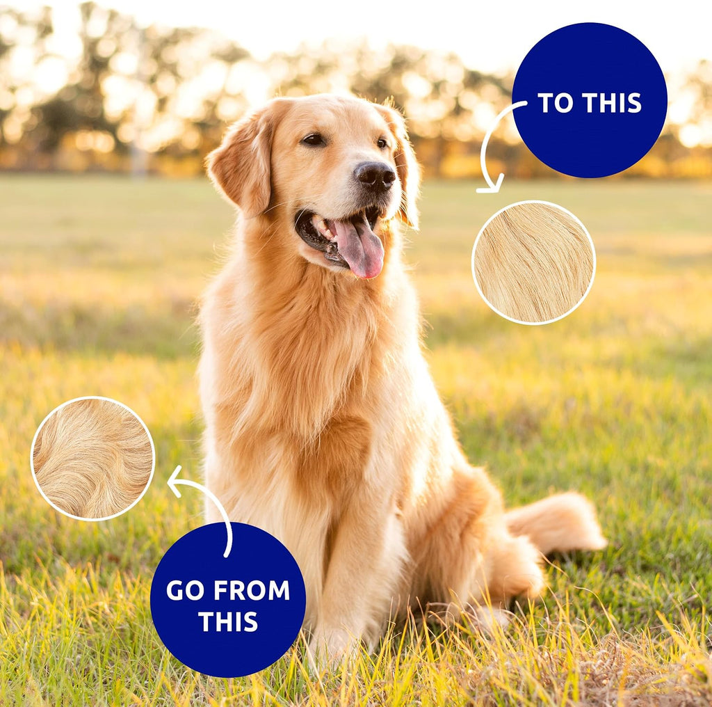 Pat Your Pet Deshedding Dog Brush For Shedding – Cat Brushes For Indoor Cats, Double-Sided Cat Brush Deshedding & Grooming Tool For Long Haired And Short Haired Dogs, Skin-Friendly