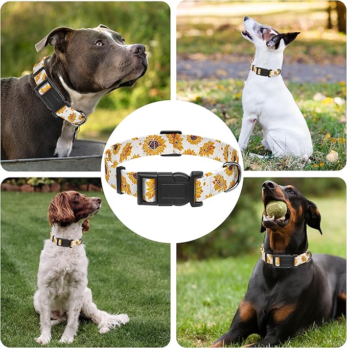 Dog Collar, Floral Boys Girls Puppy Collar for Small Medium Large Dogs, Adjustable Soft Pet Collar with Safety Buckle for Male Females (White Sunflower, M)