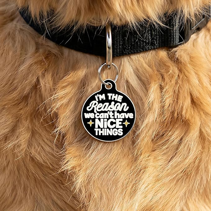 Bad Tags Personalized Dog and Cat ID Tags in 25+ Designs and 2 Sizes - 5 Lines of Custom Engraved Text - Funny Cute Personalized Pet Tags (I'm The Reason We Can't Have Nice Things, Small (1 inch))